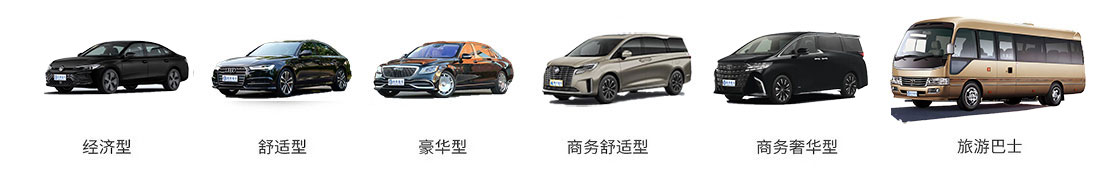 租車(chē)類(lèi)型